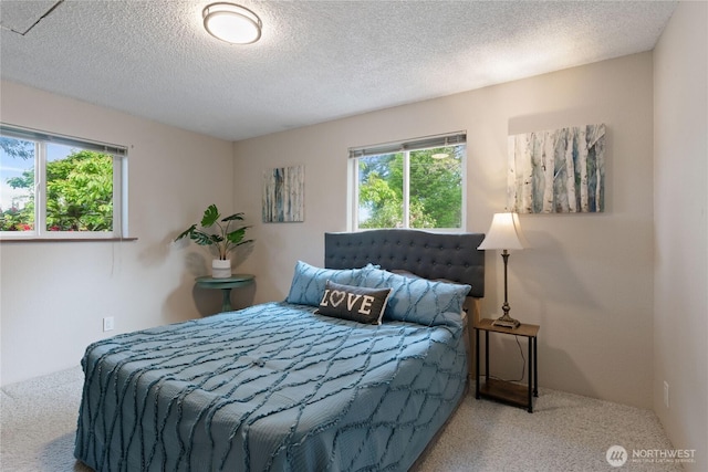 16801 Lakeside Dr S, Spanaway, WA 98387 - bedroom with carpet, multiple windows, and a textured ceiling