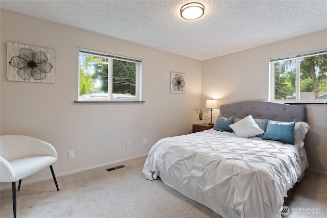 16801 Lakeside Dr S, Spanaway, WA 98387 - bedroom with multiple windows, carpet, a textured ceiling, and baseboards