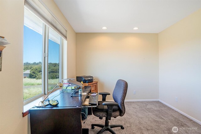 927 Pheasant Run, Westport, WA 98595 - office space featuring carpet floors, baseboards, and recessed lighting