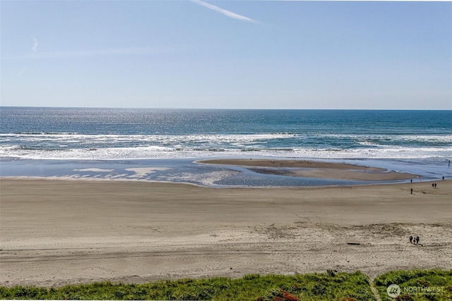 927 Pheasant Run, Westport, WA 98595 - water view with local beach