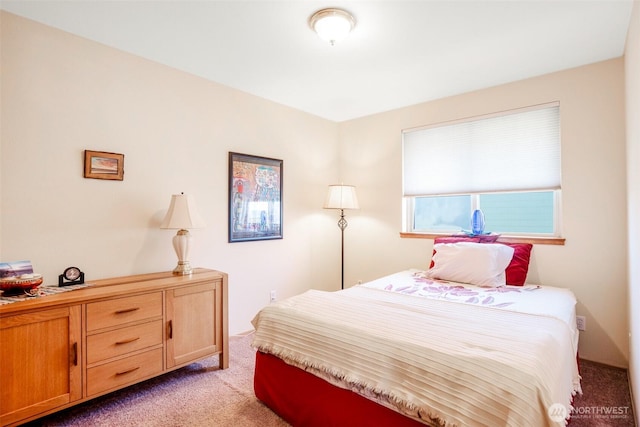 927 Pheasant Run, Westport, WA 98595 - bedroom with light carpet