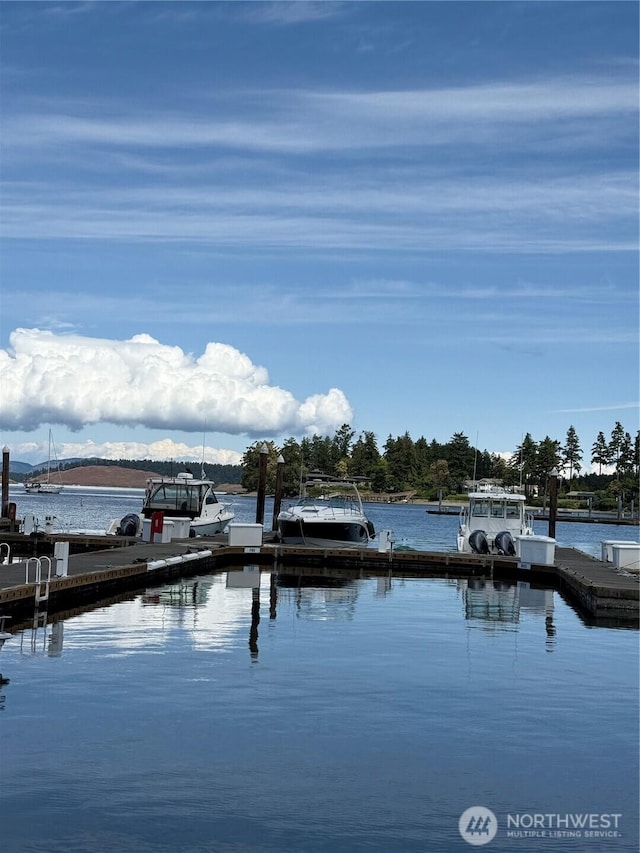 258 Armadale Rd Unit 1, Friday Harbor, WA 98250 - photo 2
