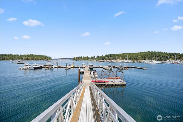 258 Armadale Rd Unit 1, Friday Harbor, WA 98250 - photo 31