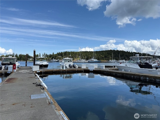 258 Armadale Rd Unit 1, Friday Harbor, WA 98250 - photo 32