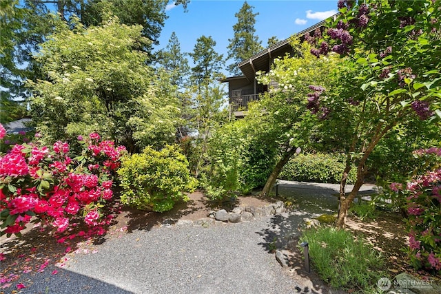 258 Armadale Rd Unit 1, Friday Harbor, WA 98250 - photo 40