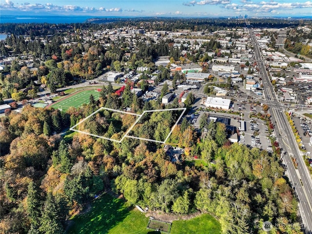 16504 3rd Ave SW, Burien, WA 98166 - photo 6