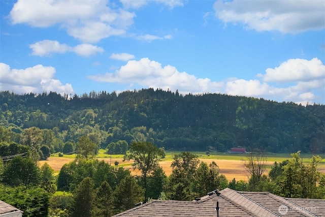 14819 1st Ave NE, Duvall, WA 98019 - view of mountain backdrop featuring a forest