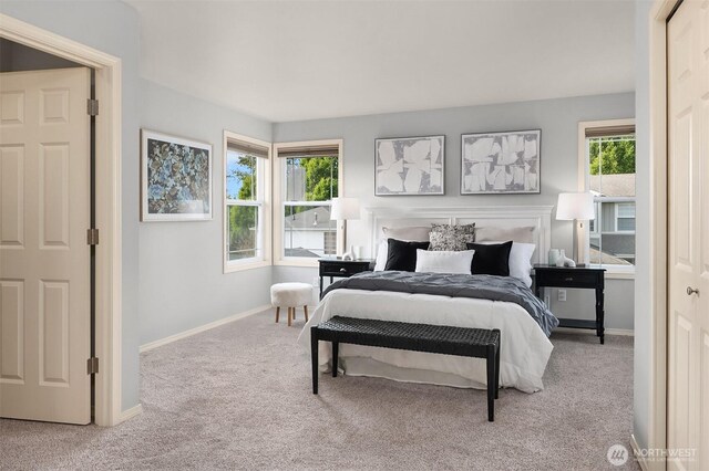 14819 1st Ave NE, Duvall, WA 98019 - bedroom with carpet and baseboards