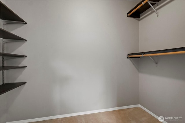 23588 Cooma Pl, Mount Vernon, WA 98274 - spacious closet featuring carpet