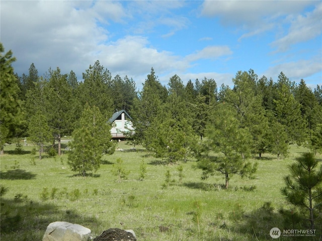 302 Summer Rd, Tonasket, WA 98855 - view of yard