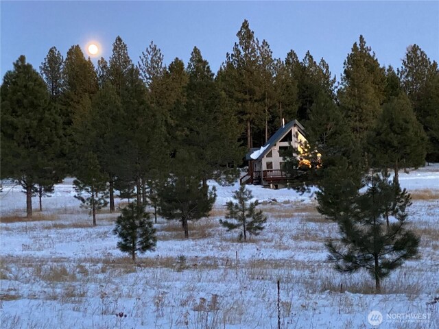 302 Summer Rd, Tonasket, WA 98855 - yard layered in snow featuring a forest view