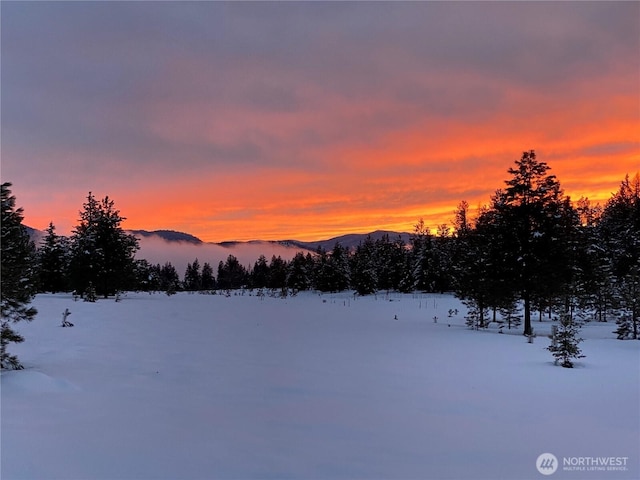 302 Summer Rd, Tonasket, WA 98855 - view of mountain backdrop