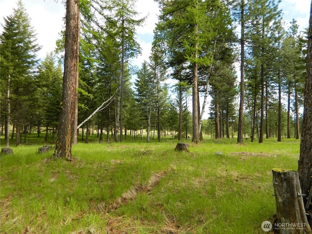 302 Summer Rd, Tonasket, WA 98855 - view of wooded area