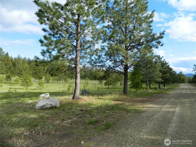 302 Summer Rd, Tonasket, WA 98855 - view of dirt / gravel road