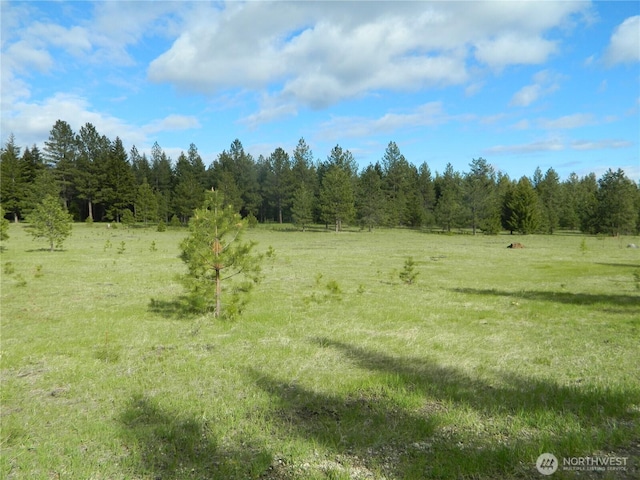 302 Summer Rd, Tonasket, WA 98855 - view of wooded area with a view of rural / pastoral area