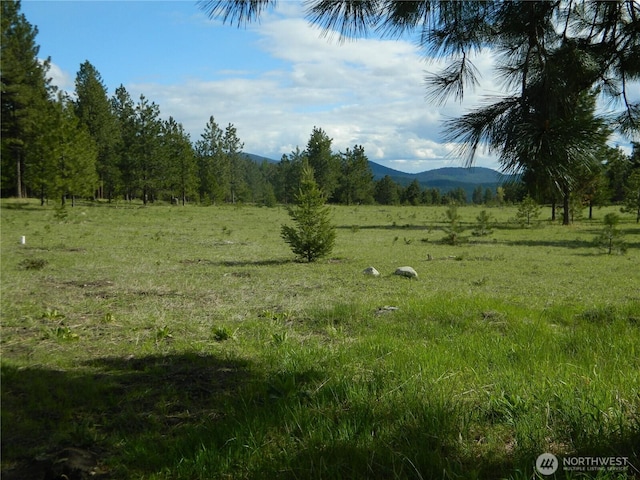 302 Summer Rd, Tonasket, WA 98855 - mountain view featuring rural landscape