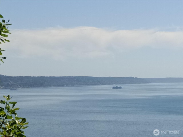 79G Mukilteo Way, Hat Island, WA 98206 - photo 11