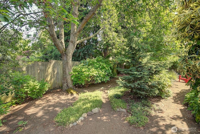 614 NW 126th Pl, Seattle, WA 98177 - view of yard