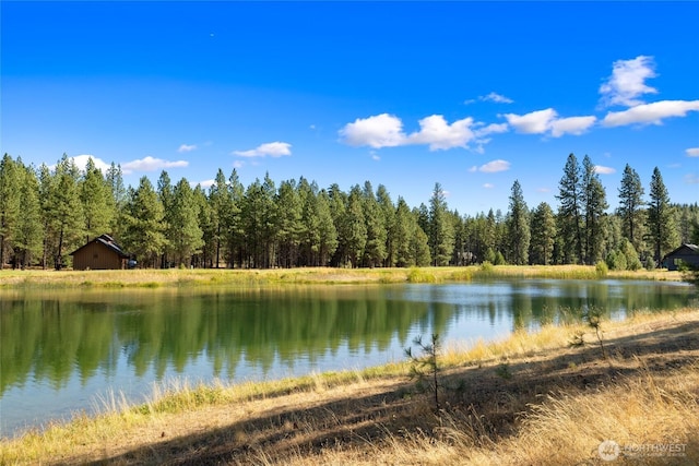 950 Coal Mine Way, Cle Elum, WA 98922 - water view with a heavily wooded area