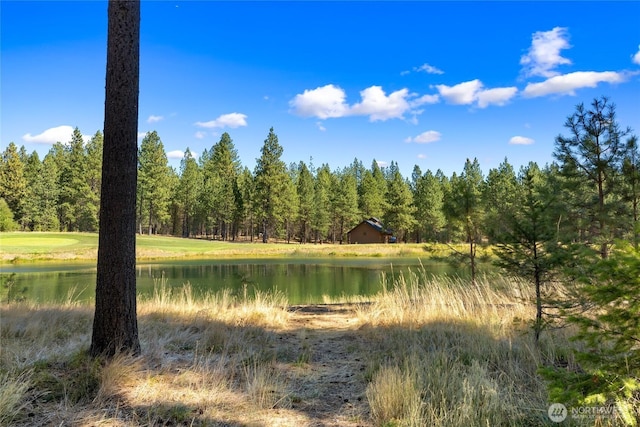 950 Coal Mine Way, Cle Elum, WA 98922 - water view with a heavily wooded area