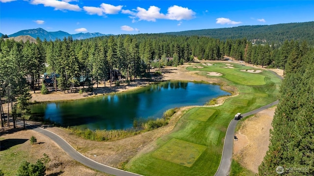 950 Coal Mine Way, Cle Elum, WA 98922 - aerial view of a forest, a water and mountain view, and a golf course