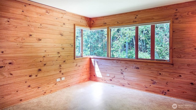152 Richwood Ln, Lopez Island, WA 98261 - empty room with wooden walls