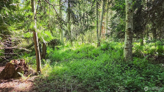152 Richwood Ln, Lopez Island, WA 98261 - view of wooded area