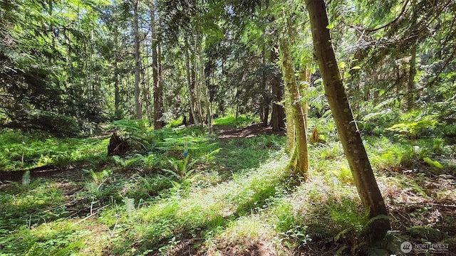 152 Richwood Ln, Lopez Island, WA 98261 - view of woods