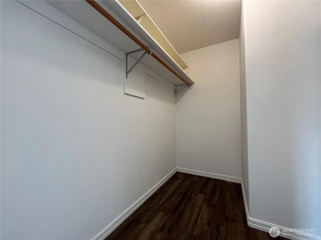 1516 4th St, Wenatchee, WA 98801 - walk in closet featuring dark wood-type flooring