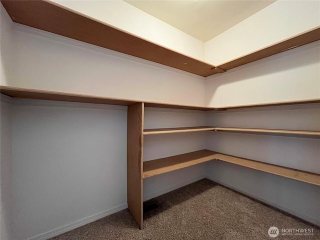 1516 4th St, Wenatchee, WA 98801 - walk in closet featuring carpet