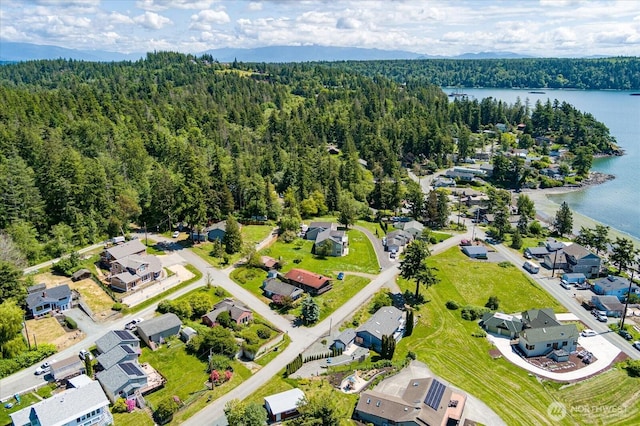 13371 Eagle St, Anacortes, WA 98221 - aerial view of residential area with a forest and a large body of water