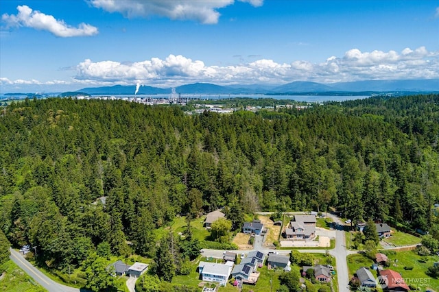 13371 Eagle St, Anacortes, WA 98221 - bird's eye view of a forest and a water and mountain view