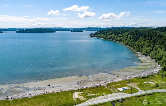 13371 Eagle St, Anacortes, WA 98221 - water view featuring a forest
