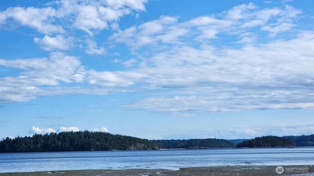 13371 Eagle St, Anacortes, WA 98221 - water view featuring a heavily wooded area