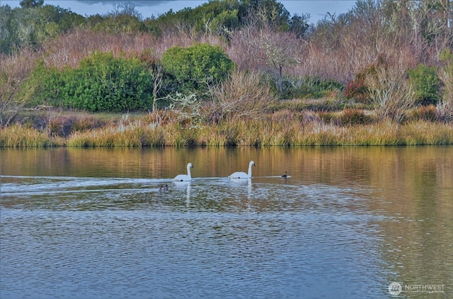 384 Marine View Dr SW, Ocean Shores, WA 98569