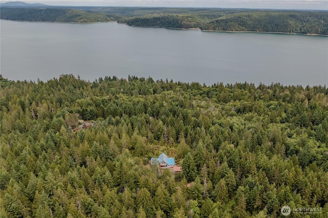 480 N Hill Way, Hoodsport, WA 98548 - photo 39