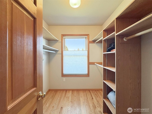22 E Bedinger Rd, Sequim, WA 98382 - spacious closet featuring light wood-style floors
