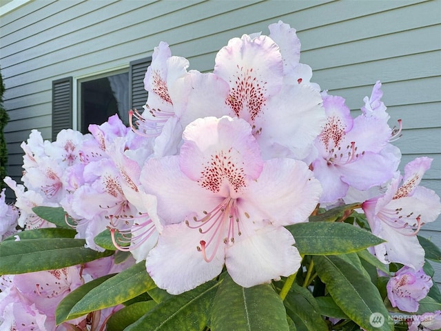22 E Bedinger Rd, Sequim, WA 98382 - exterior view