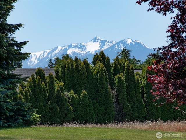 22 E Bedinger Rd, Sequim, WA 98382 - mountain view