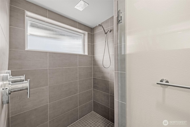 5915 Fauntleroy Way SW Unit C, Seattle, WA 98136 - full bath with a tile shower