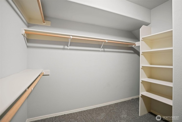 2804 177th, Vancouver, WA 98682 - walk in closet with carpet