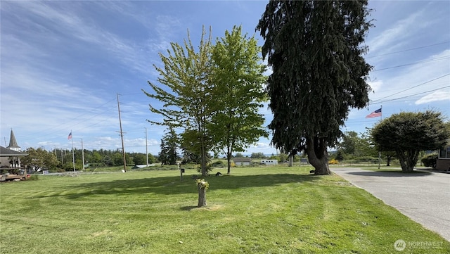 851 Heichel Rd, Camano Island, WA 98282 - view of home's community featuring a lawn