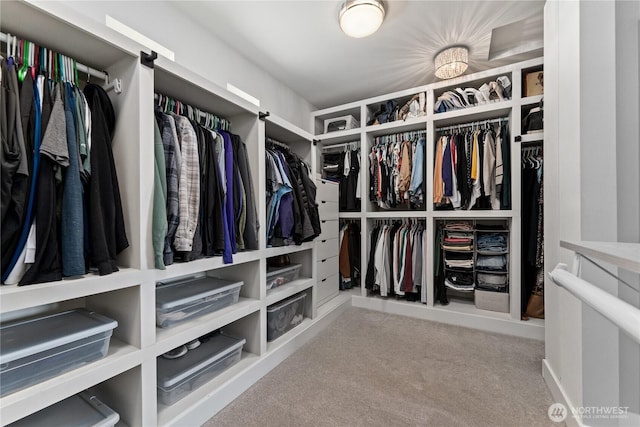 1425 Appleridge St, Wenatchee, WA 98801 - spacious closet with carpet