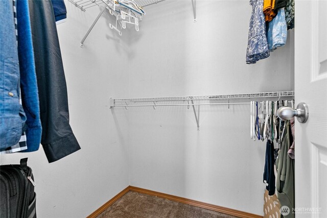 7382 Halibut Dr, Blaine, WA 98230 - walk in closet with carpet flooring
