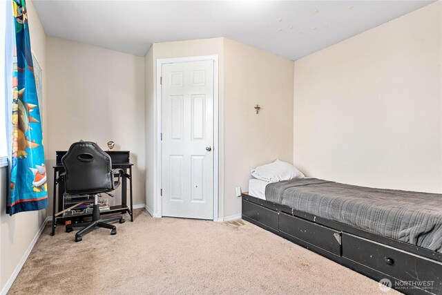 7382 Halibut Dr, Blaine, WA 98230 - bedroom with carpet floors and baseboards