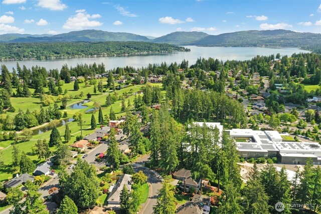 1805 179th Pl NE, Bellevue, WA 98008 - bird's eye view of a water and mountain view