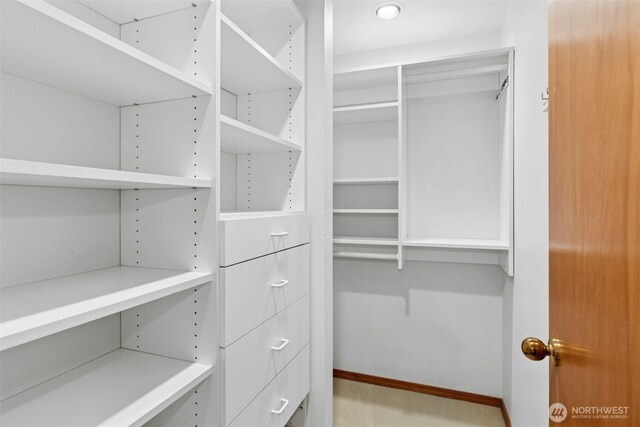 1805 179th Pl NE, Bellevue, WA 98008 - view of spacious closet