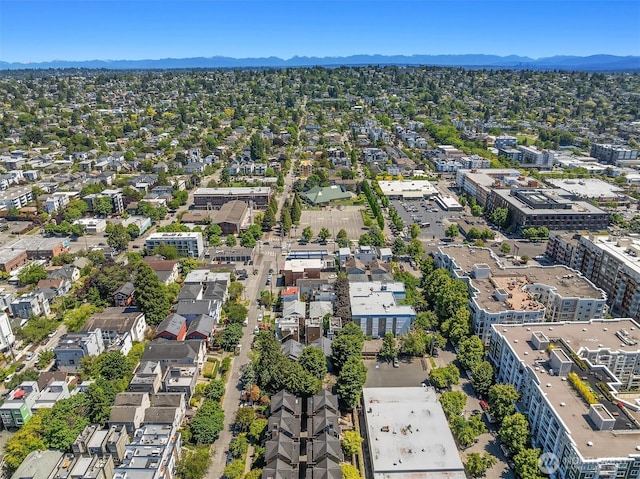 1541 NW 58th St, Seattle, WA 98107 - photo 8