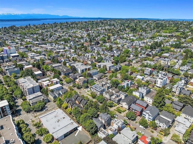 1541 NW 58th St, Seattle, WA 98107 - photo 11