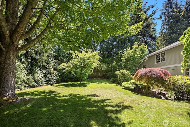1211 6th Pl S, Edmonds, WA 98020 - view of grassy yard